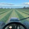 New Season 8x4x3 Vetch Hay
