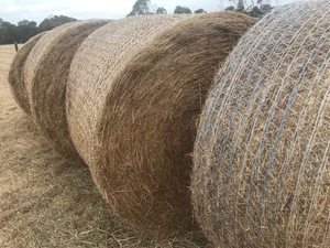 20 x hay rounds