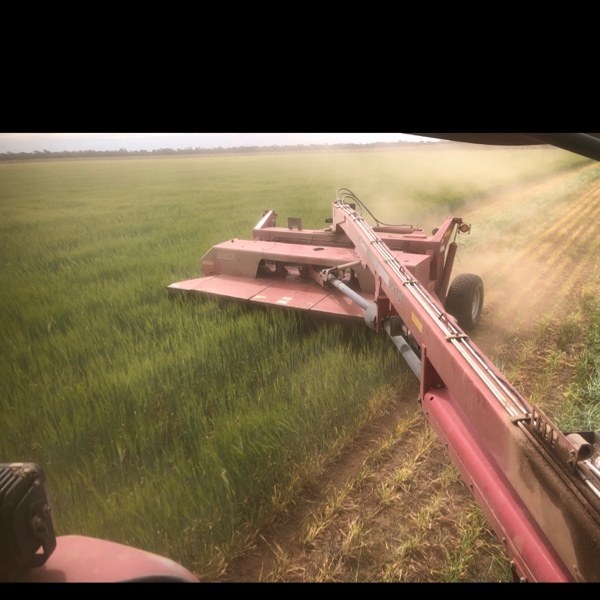 Case IH DCX131 mower conditioner 