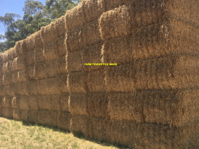 130 Bales Barley Straw header tailings 