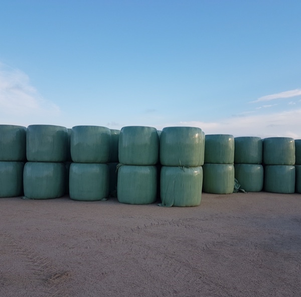 Top Quality Pasture Silage For sale