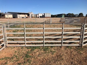 Portable Sheep Yards