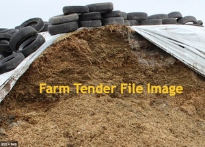 Pasture Silage in Bunker   300 mt