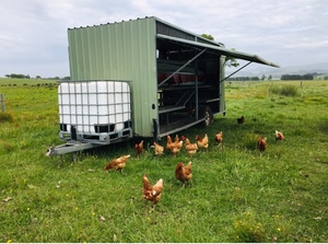 Automated Portable Chicken Caravans for Sale 300   TOCAL Field day Special