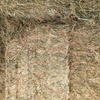 200 m/t Oaten Hay 