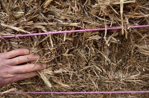 Barley & Wheat Straw for Mulch/Bedding