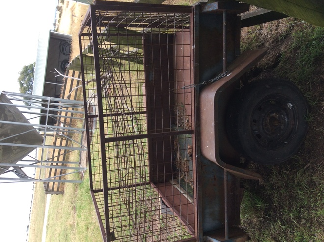 Under Auction - 5' x 4' Calf Trailer - 2% + GST Buyers Premium on All Lots 