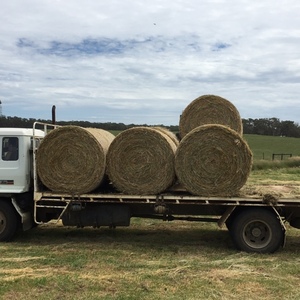 72 x Grass Hay 5x4 Rolls