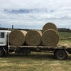 72 x Grass Hay 5x4 Rolls