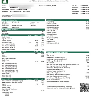 250mt Wheaten Hay 650kg 8x4x3 Bales