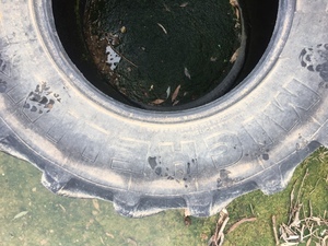 Tyre. Windrower Drive or FWA