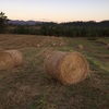 Round pasture hay