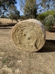 42 x Oaten Rye 5x4 Round Bales