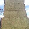 160mt Vetch Hay 650kg 8x4x3 Bales