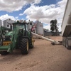 Wheatheart 13/94 Auger