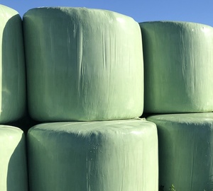 Lucerne Silage