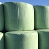 Lucerne Silage 