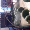 Melon Packing Line 
