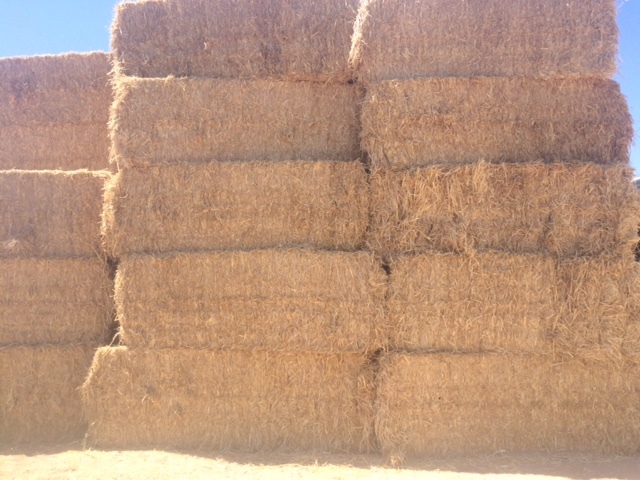 Oaten Straw