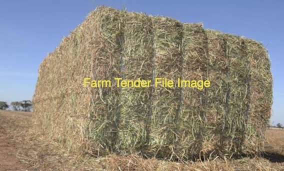 300mt Vetch Hay 750kg 8x4x3 Bales