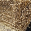 Wheaten Straw 8x4x3 - 300 x 420 KG Approx Bales