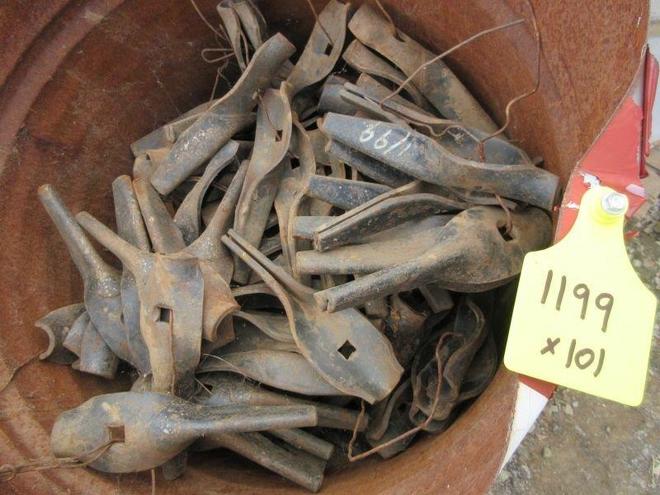  Points 1199 x 101 - 2% Buyers Premium on all Lots