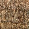 Wheaten Hay 8x4x3 - Canowindra NSW