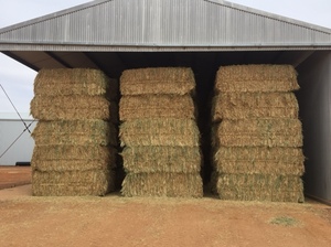 250t Wheaten hay