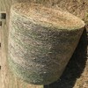 Wheat & Vetch + Pasture Mix Hay 325kg 4'' x 4'6” Round Bales