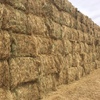 130mt Ryegrass/Clover Hay 500-550kg 8x4x3 Bale