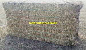Clover / Rye Hay Wanted in 8x4x3's - One load or More