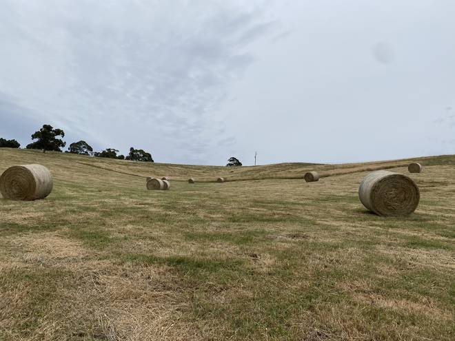 PASTURE HAY - 5X4FT ROUNDS - WEED FREE