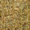 Wheat hay