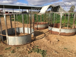 3 Hay Rings - 2% Buyers Premium on all Lots