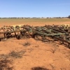 30ft Blade Plough