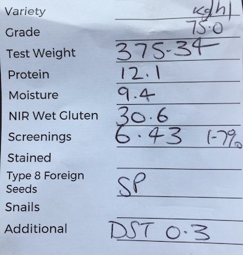 50/mt of SF1 Wheat ex Farm