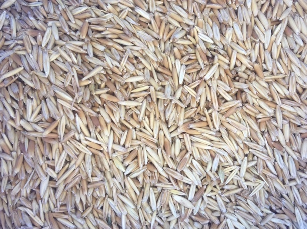 27.5mt Oats