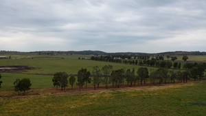 Vendors Will Meet the Market- All Offers Submitted- 'Ben Hall' Country- 1167 Acres of Mixed Farming