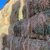 New season lucerne hay 