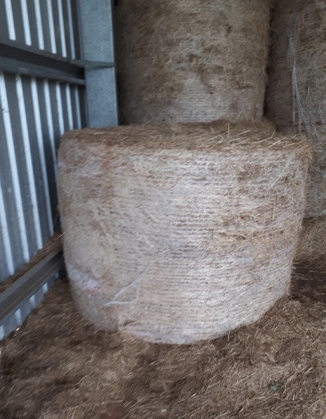 Under Auction - 40 x Pasture Hay 450-480kg 5x4 Rolls  - Sold By The Bale 