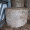 Under Auction - 40 x Pasture Hay 450-480kg 5x4 Rolls  - Sold By The Bale 