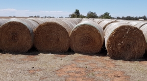 Wheaten Hay 5x4 Rolls