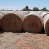 Wheaten Hay 5x4 Rolls