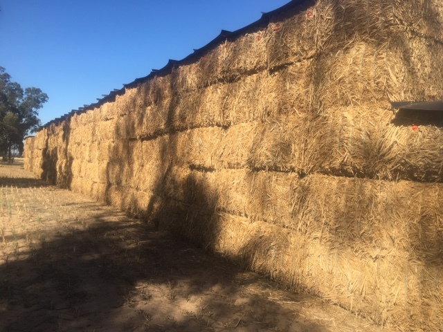 1 B Double load Canola Hay 640kg 8x4x3 Bales