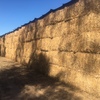 1 B Double load Canola Hay 640kg 8x4x3 Bales
