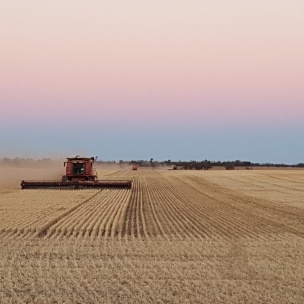 Harvesting Available