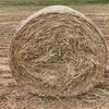 Oaten Hay 4 x 4  Round Bales (New Season)