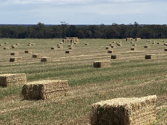 Oaten / Vetch Mix 8x4x3 Bales