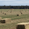 Oaten / Vetch Mix 8x4x3 Bales