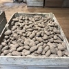 187MT Potatoes